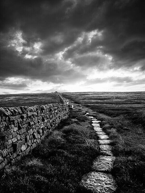 The Long Path Home - Monochrome