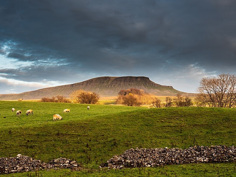 Pen-y-Ghent Mountain - Yorkshire Dales