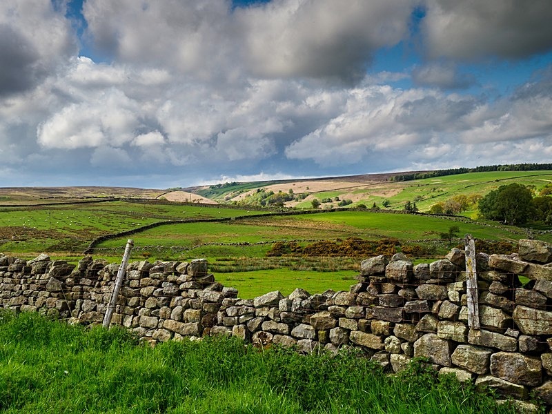 Blubberhouses Moor - High Moorland