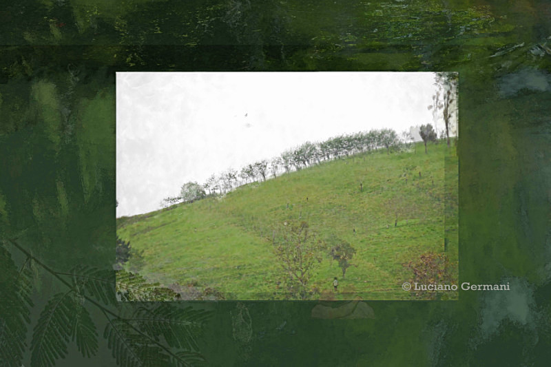 monday morning - Unlimited  /  Illimitées