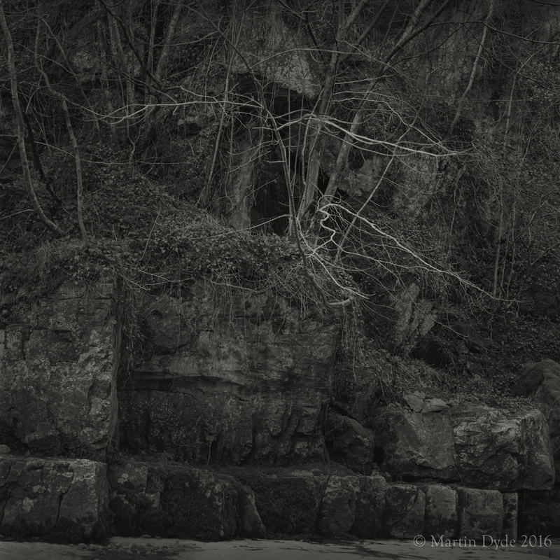 Trees in gorge by Porth Yr Ogof, Brecon Beacons, Wales | The Silver Monochrome: black-and-white film photography by Martin Dyde