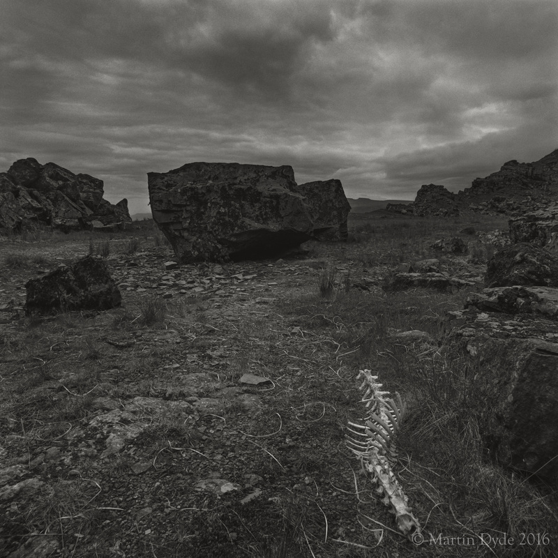 Remains of fallen sheep in disused quarry with Corn Du, Brecon Beacons | The Silver Monochrome: black-and-white film photography by Martin Dyde