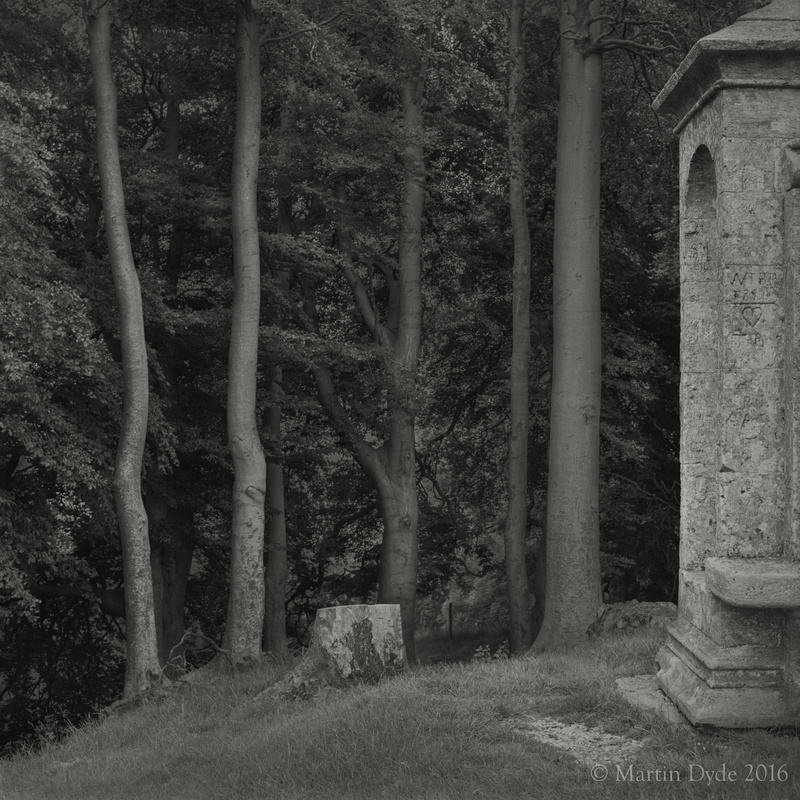Hill fort with beeches and folly, Beckbury Camp, Cotswolds, England | The Silver Monochrome: black-and-white film photography by Martin Dyde