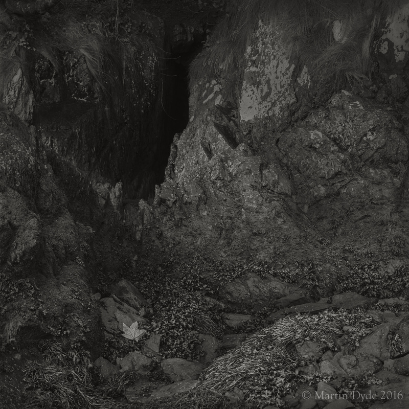 Foreshore with leaf and cave, Dale, Pembrokeshire, Wales | The Silver Monochrome: black-and-white film photography by Martin Dyde