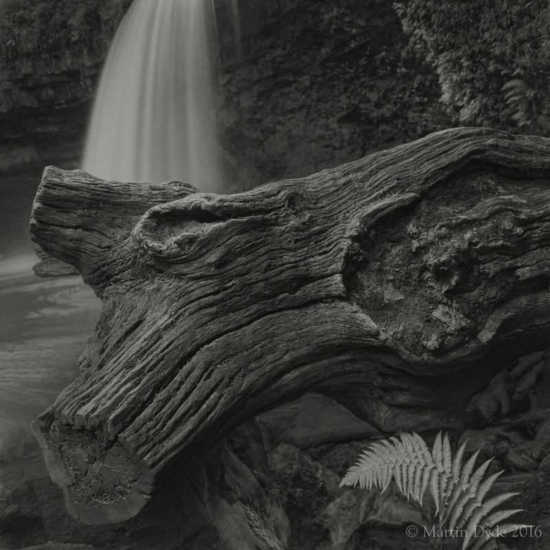 Waterfall, log and fern, Sgwd Gwladus, Brecon Beacons, Wales | The Silver Monochrome: black-and-white film photography by Martin Dyde