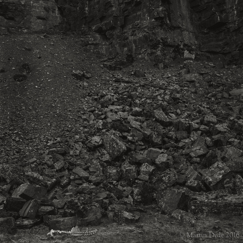Remains of fallen sheep in disused quarry 1, Fan Bwlch Chwyth, Brecon Beacons | The Silver Monochrome: black-and-white film photography by Martin Dyde