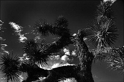  - Portfolio1