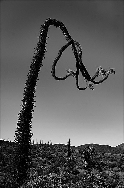  - Portfolio1