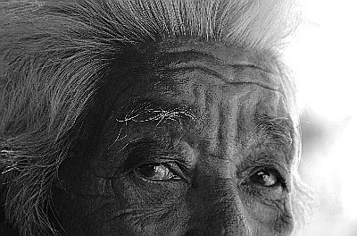  - Portfolio1