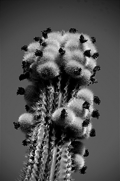  - Portfolio1