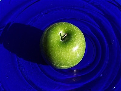  - Portfolio1