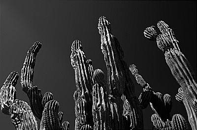  - Portfolio1