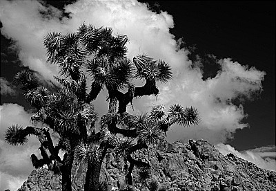 - Portfolio1