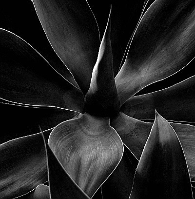  - Portfolio1