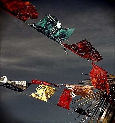  - Portfolio1