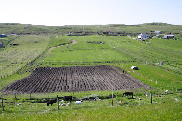 Crofting Scotland | Croft Fields | Mangersta | Isle of Lewis