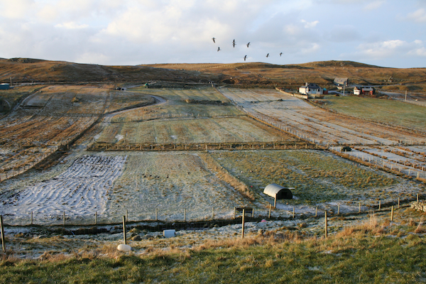 Crofting Scotland | Mangersta | Isle of Lewis