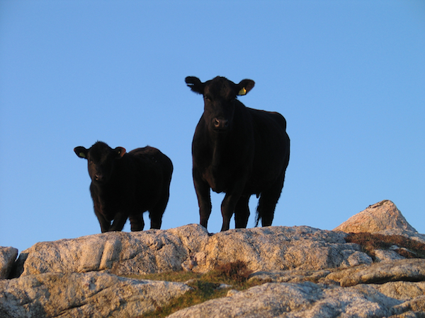 Outer Hebrides Photography: Mangurstadh Gallery