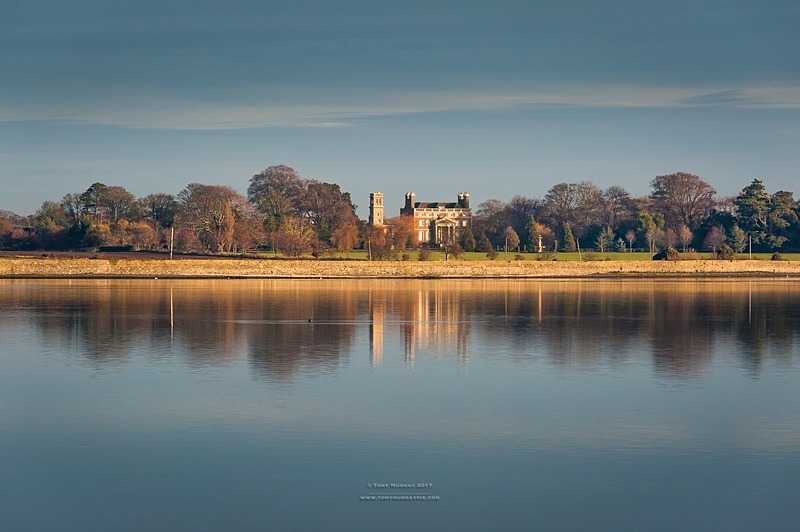 Estuary Reflections - Malahide