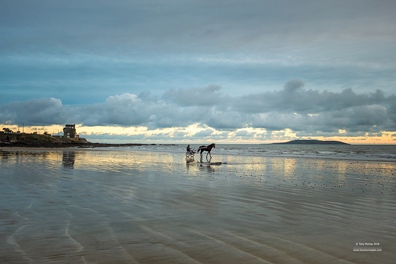 Sulky on Portmarnock beach Xmas Eve 2018 - Portmarnock