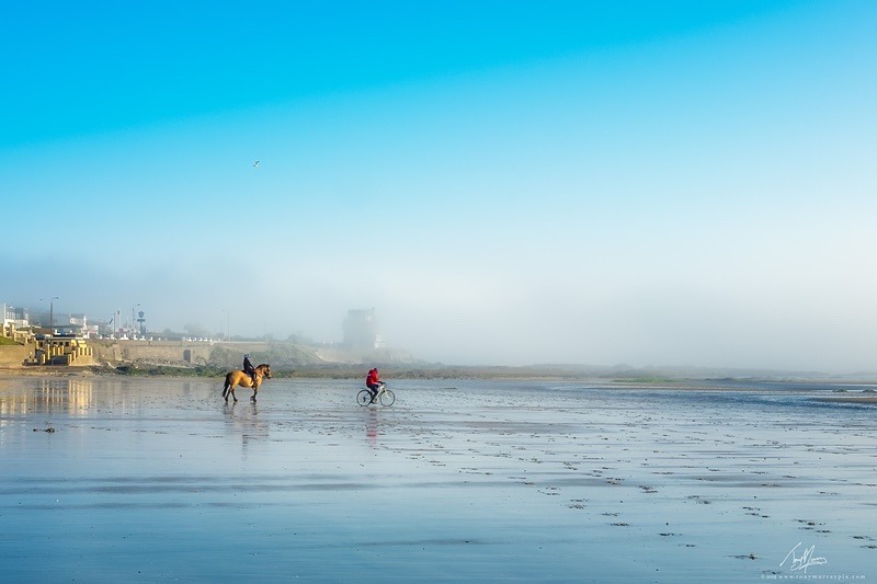 Misty Morning - Portmarnock