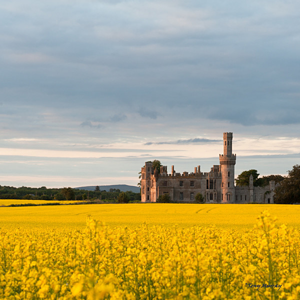 Ducketts Grove, Carlow - Carlow