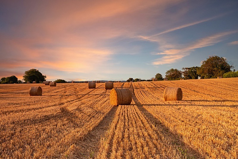 Hay Bales at Mountgorry, Malahide - Malahide