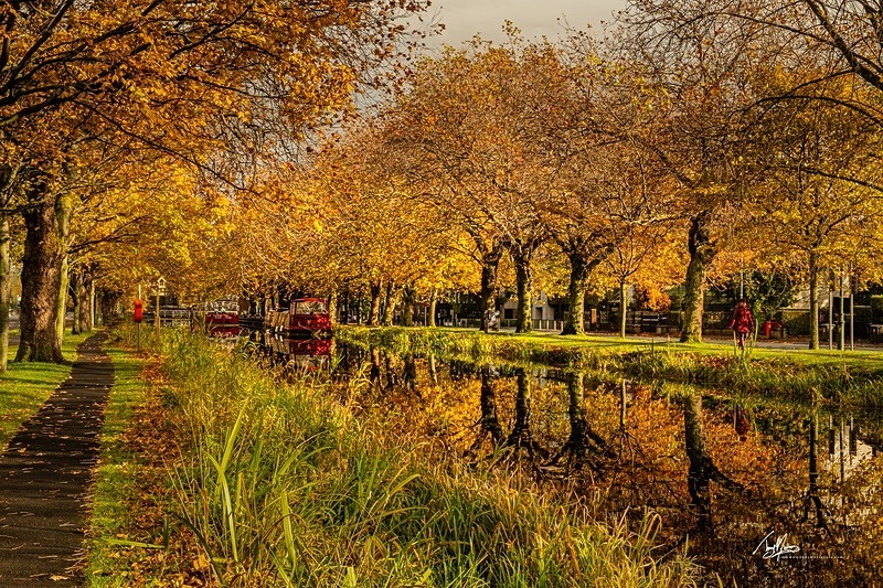 Grand Canal Reflections - Dublin