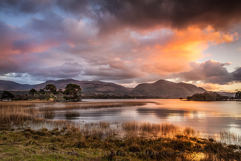  - Killarney