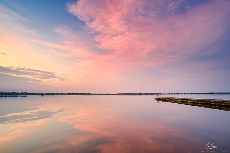 Admiring the Estuary Sunset - Malahide