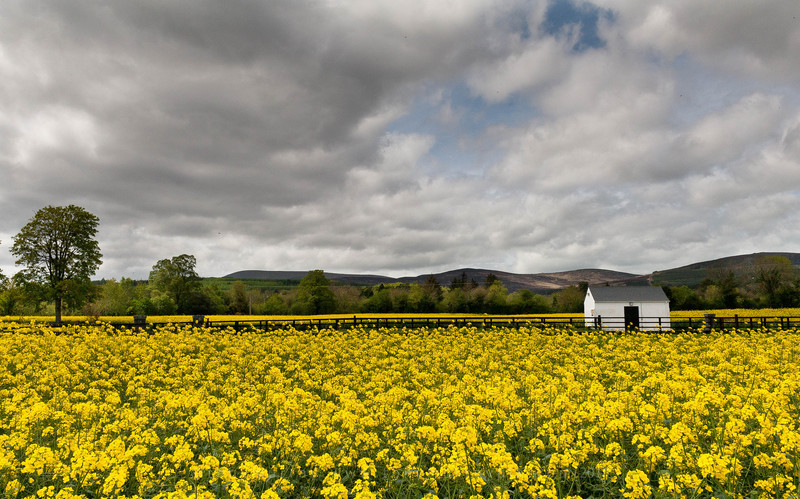 Rivermill Farm - Cahir