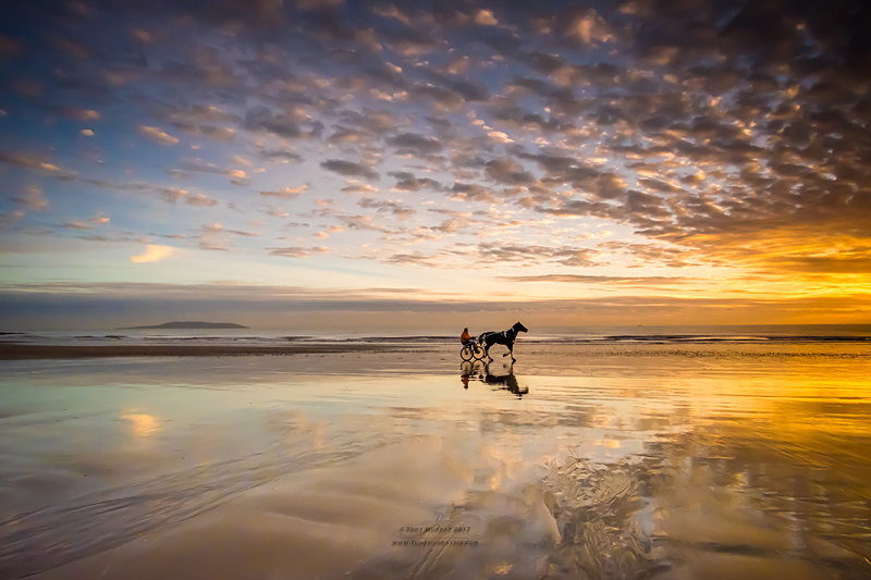 Into the Sun - Portmarnock