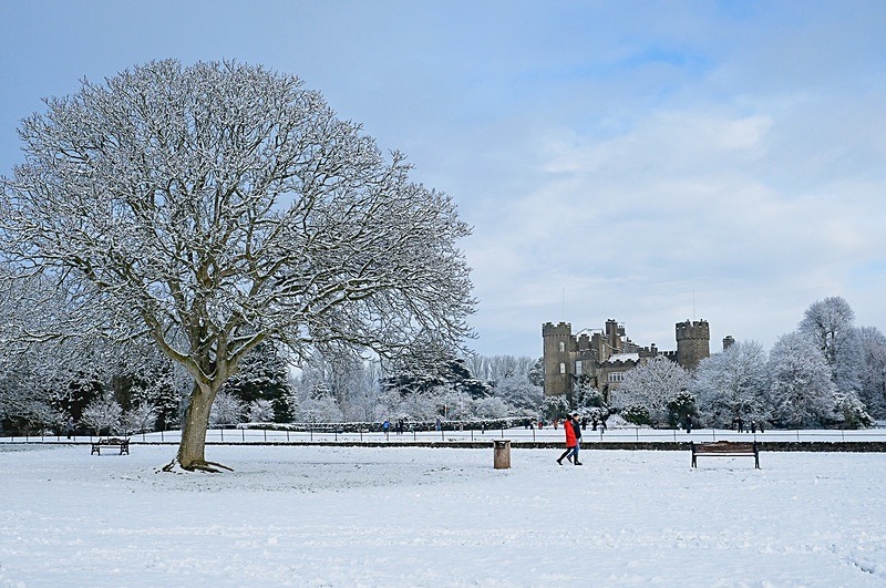 Snow Day 2021 - Malahide