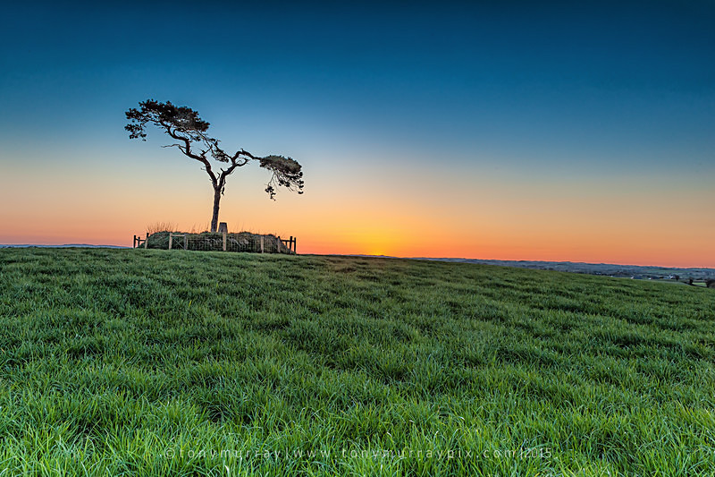 The Fairy Tree - Knockbridge