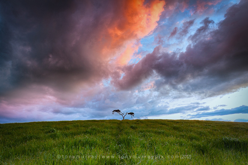 Fiery Sunset at The Fairy Tree - Knockbridge