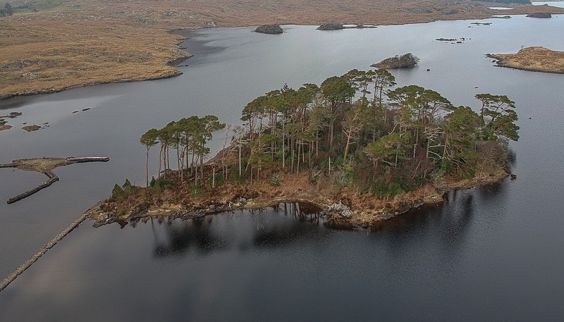 Pine Island Derryclare - Aerial Photography