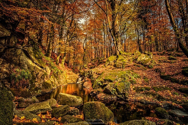Autumn at Cloughlea October 2018 - Wicklow