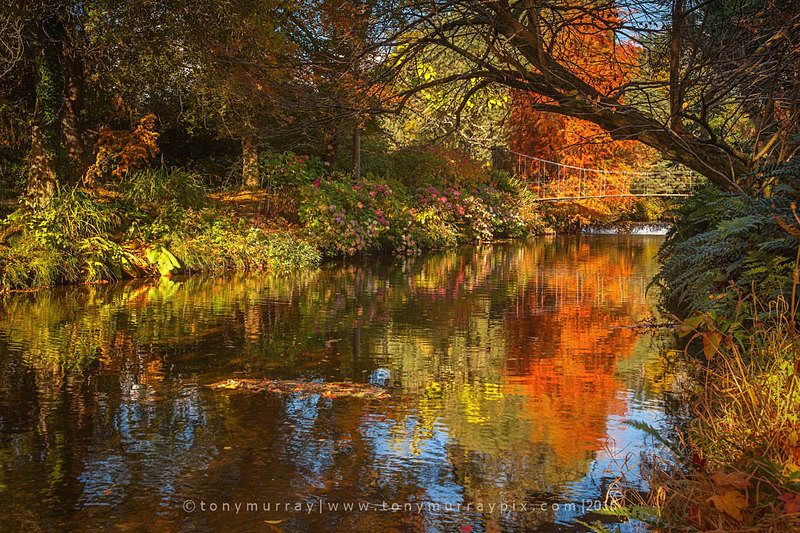 Autumn at Mount Usher Gardens - Wicklow