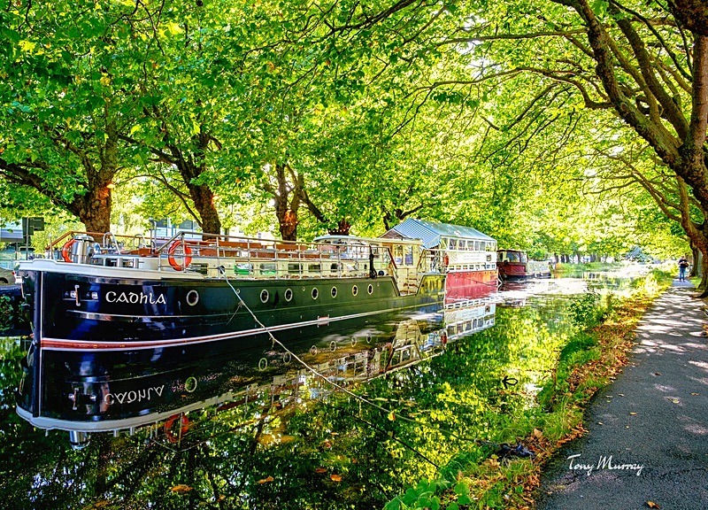 Canal Boats - Dublin