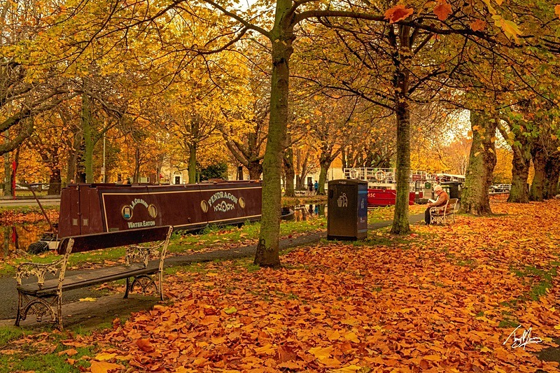 Relaxing by Grand Canal - Dublin