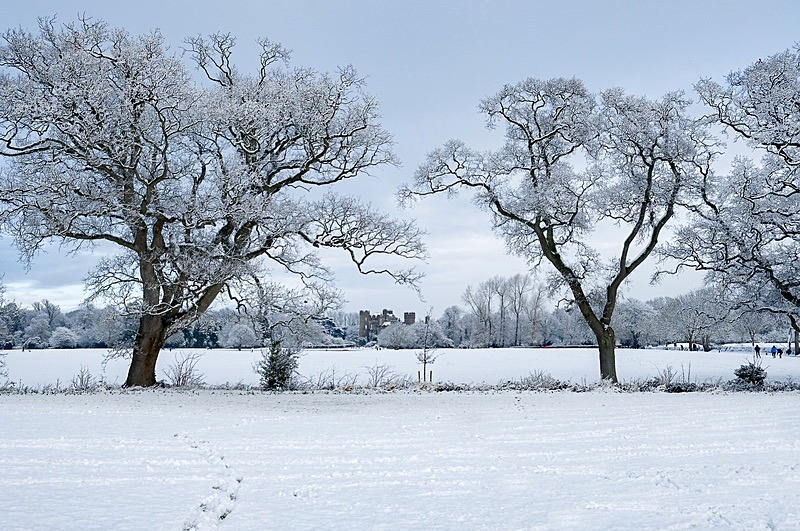Snow in Malahide Castle 21.01.2021 - Malahide