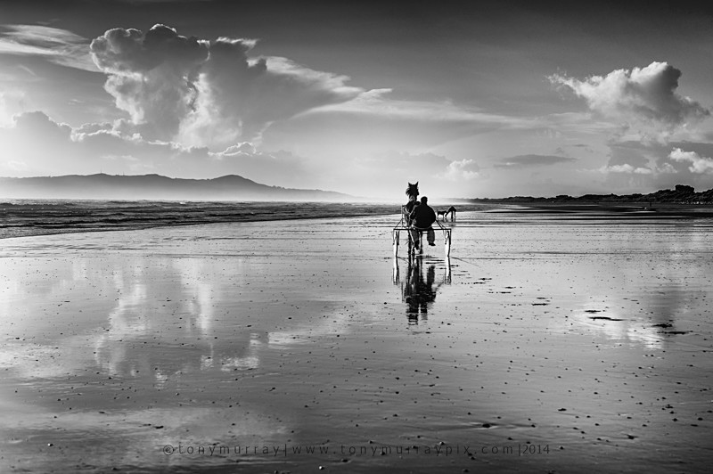 Morning Trot B&W - Portmarnock