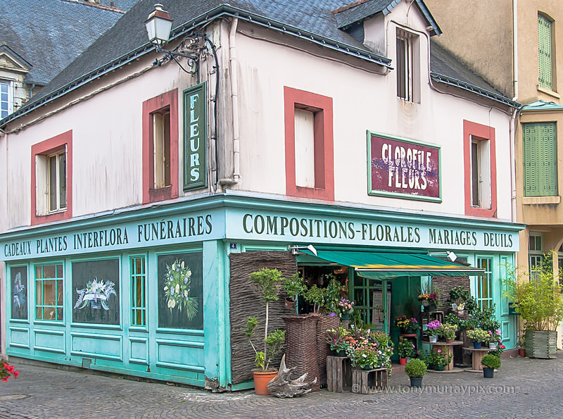 Les Fleurs - LANDSCAPES (outside Ireland)
