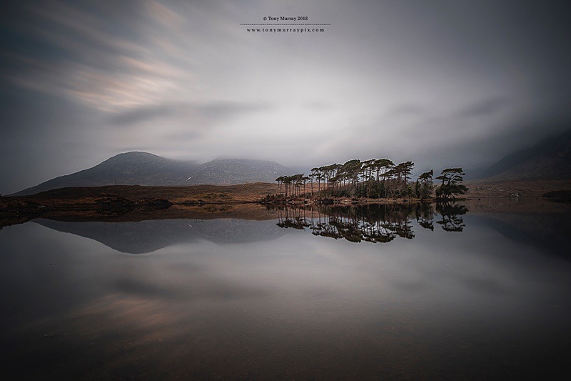 Reflections at Pine Island, Derryclare - Galway