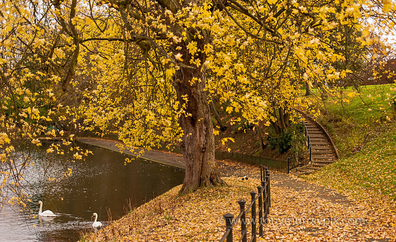 Autumn in the Peoples Park - Dublin