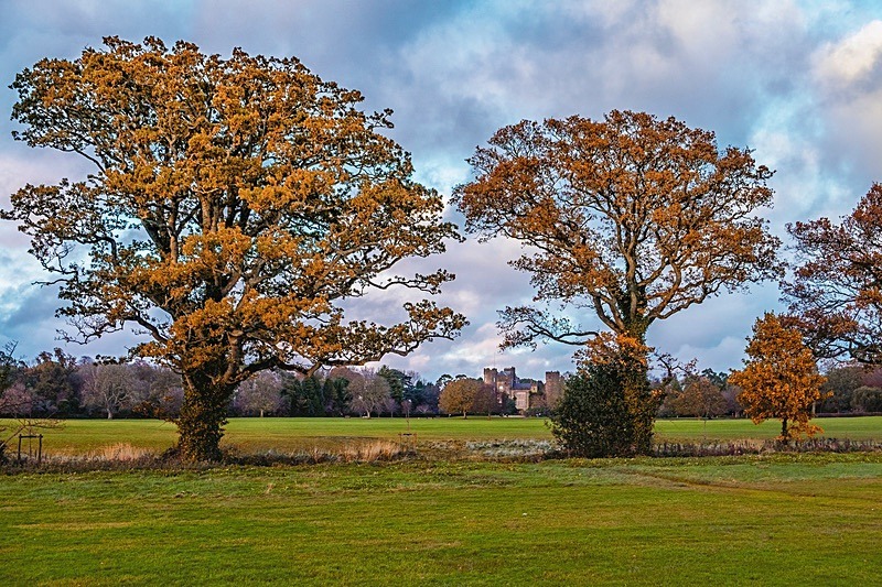 Autumn at Malahide Castle 19.11.2023 - Malahide