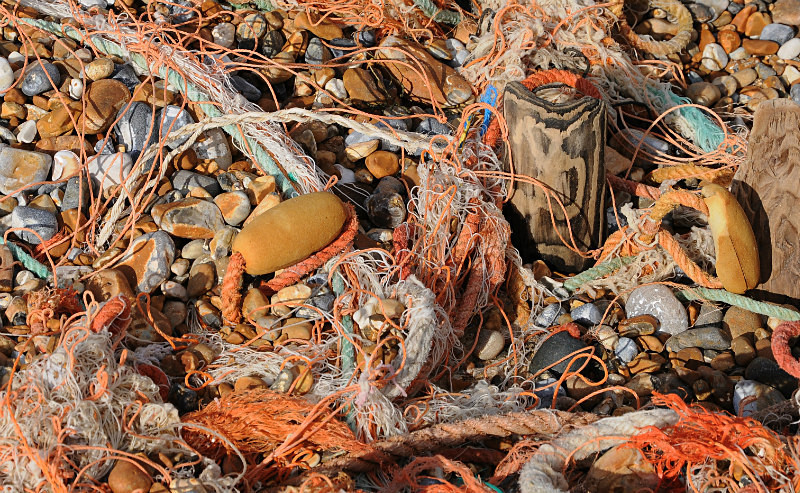 Beach at Littlehampton - Coastal