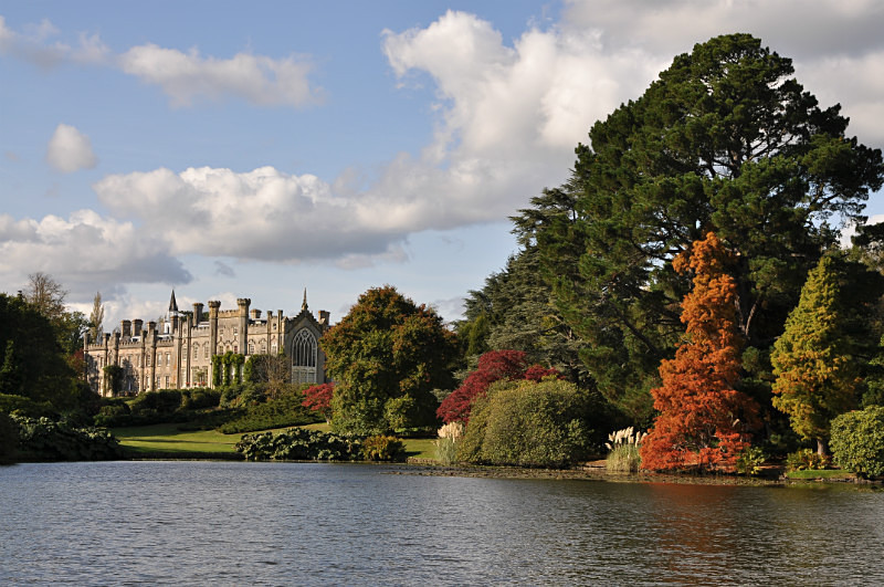 Sheffield Park - Trees & Landscape