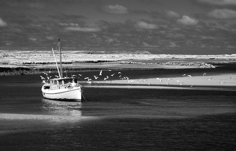 Burnham Overy Staithe - Monochrome