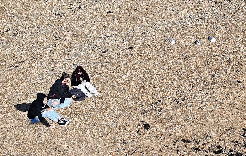 3 Girls 3 Gulls - Coastal